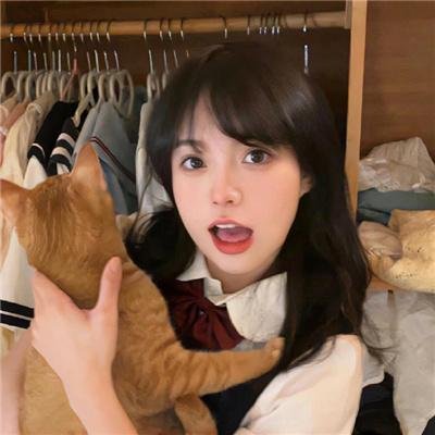 大寻宝家